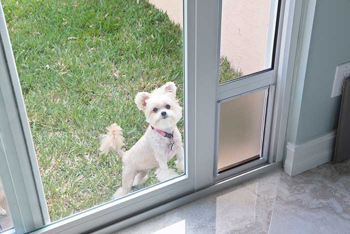 Pet Doors In Olympia Wa By D K Boos Glass, Sliding Door With Dog Door Built In