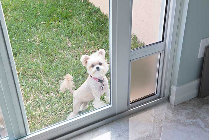 Installation - Sliding Door Dog Door